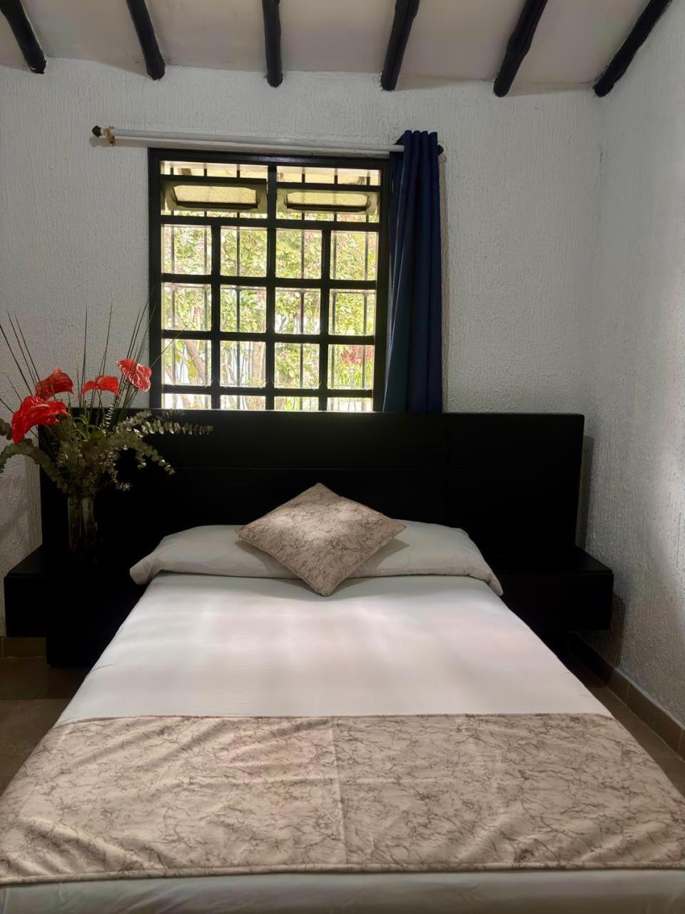 Hotel Premium Real 麦德林 外观 照片