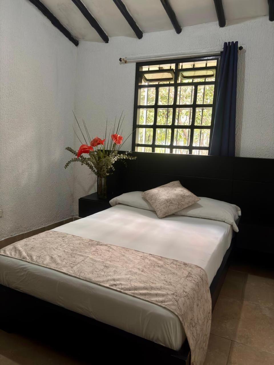 Hotel Premium Real 麦德林 外观 照片