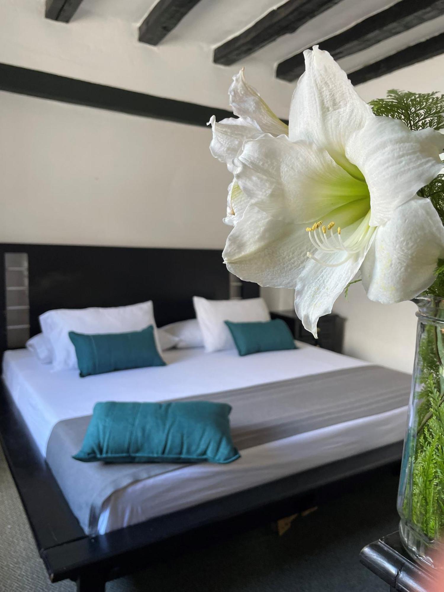 Hotel Premium Real 麦德林 外观 照片